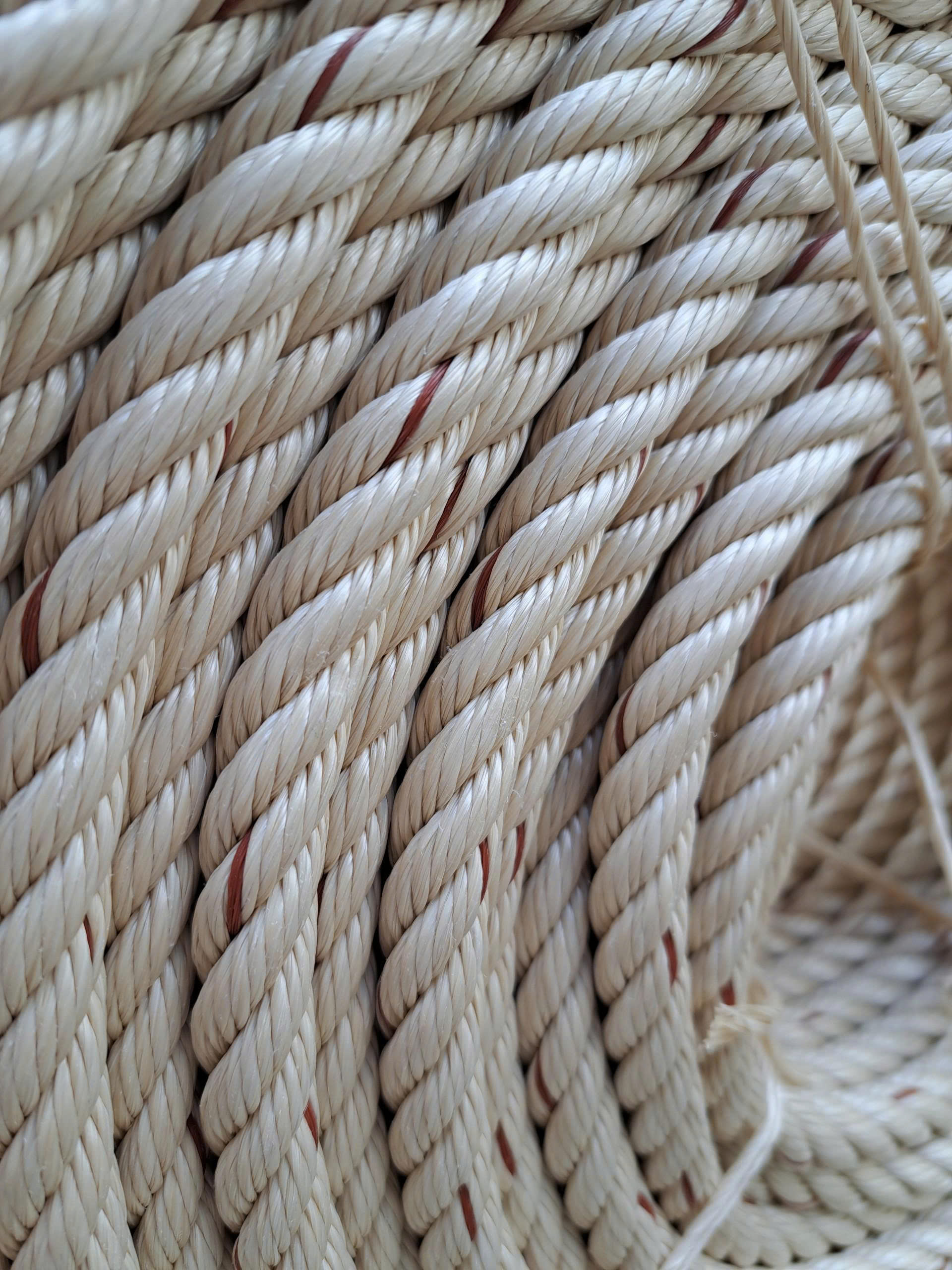 dây thừng 12mm